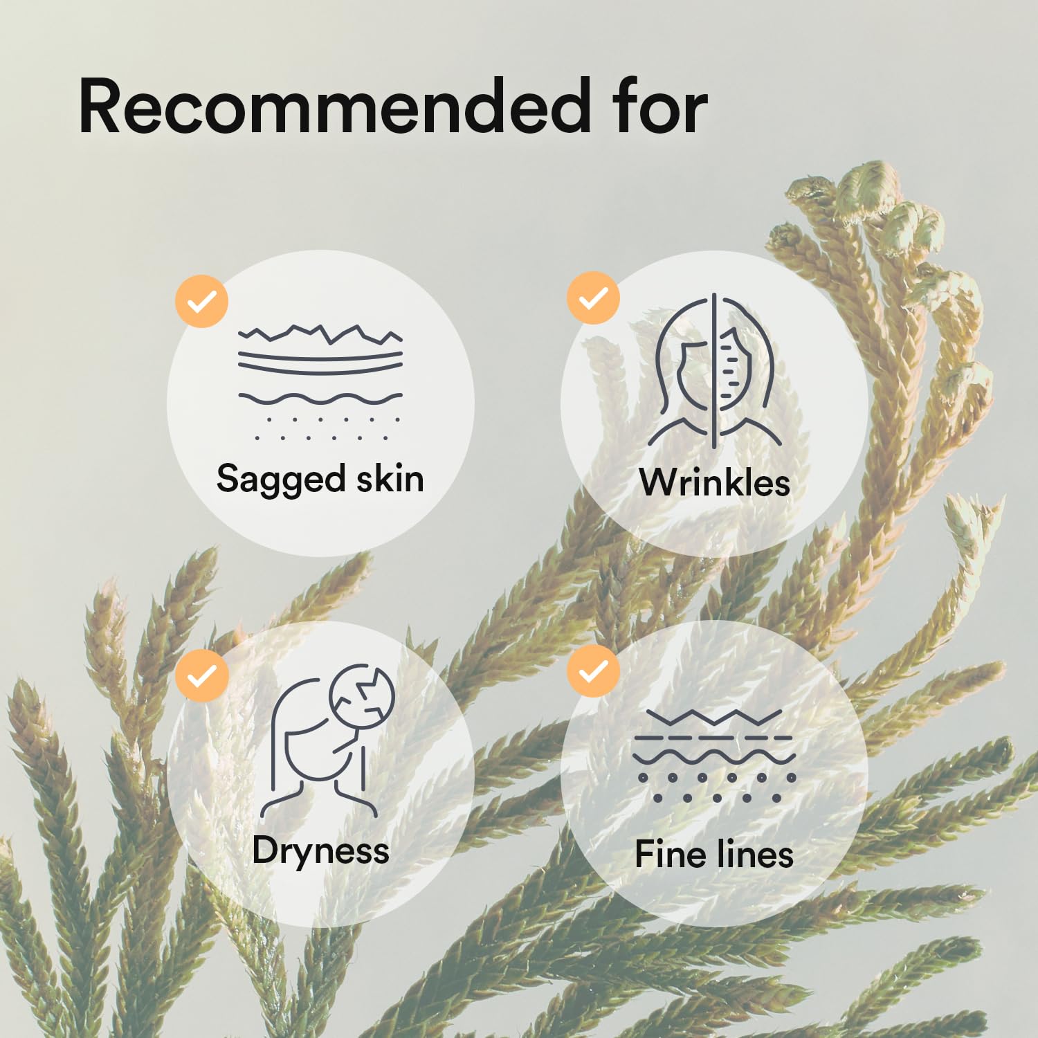 Abib Collagen Gel Mask Jericho Rose Jelly 4 Sheets (Nourishing) I Korean Vegan Collagen, Cooling Nourishing Hyaluronic Acid Hydrogel Face Mask Skin Care - Image 8