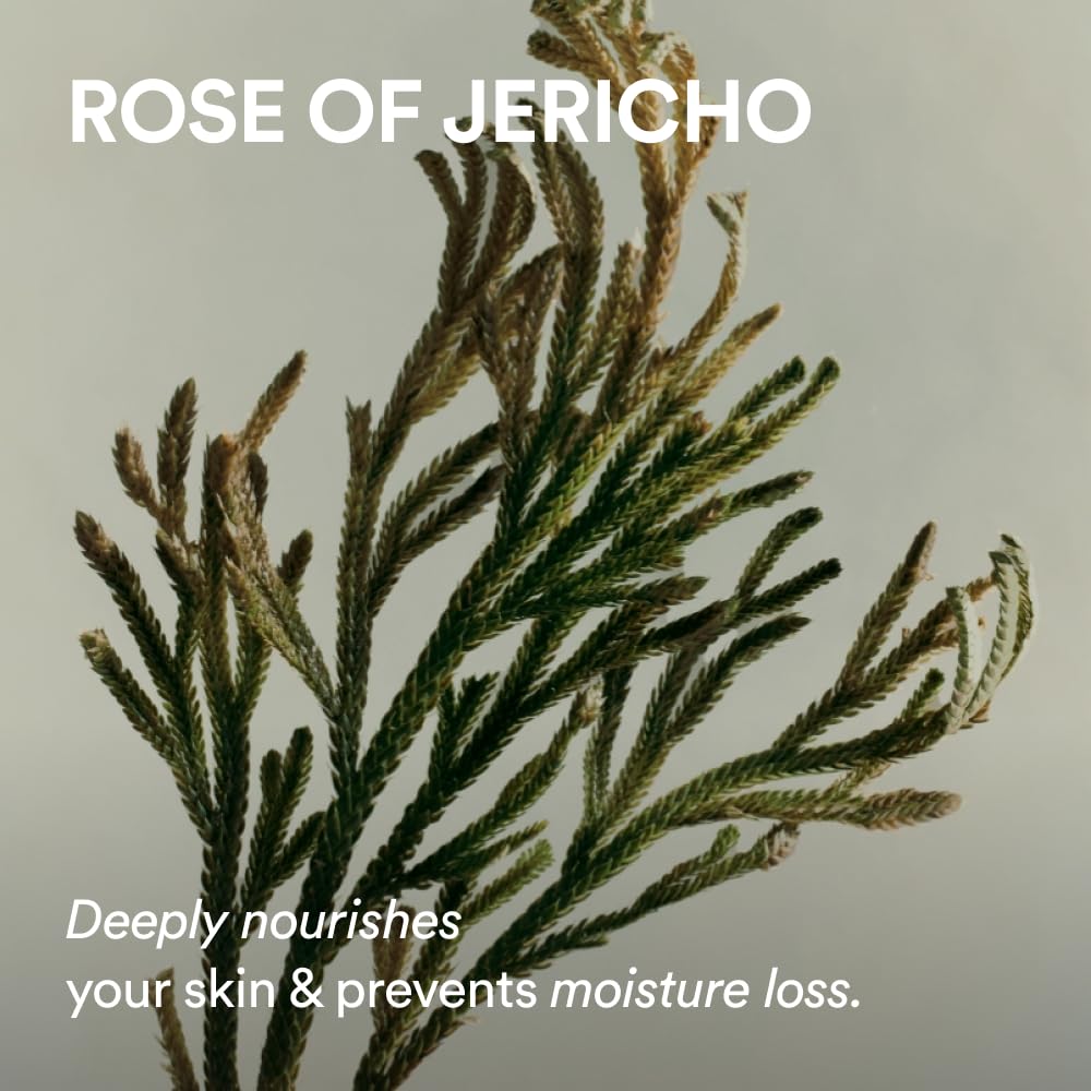 Abib Jericho Rose PHA Toner Skin Booster 6.76 fl oz / 200 ml, Toner with Rose of Jericho Extract for Improvement of Skin Elasticity and Skin Texture - Image 4