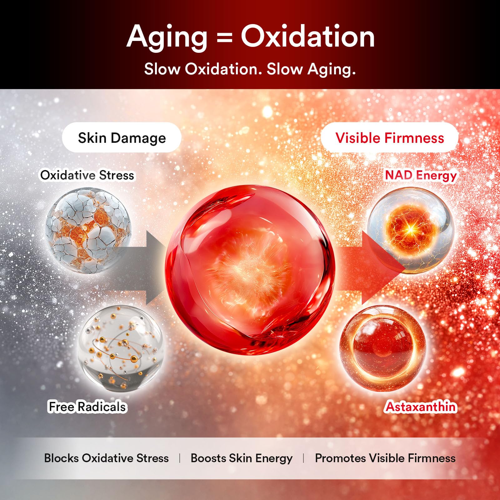 Abib Red effect serum 1.05 pump 1.01 fl oz Anti-aging Facial Skincare with Nicotinamide Mononucleotide (NMN) 1% & Astaxanthin 0.5% for 24-Hour Antioxidant & Anti-Wrinkle Support for All Skin Types - Image 6